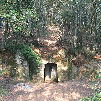 Tumulo Etrusco di Mucellena